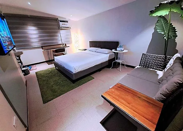 호텔 The Hub District Garden 3*