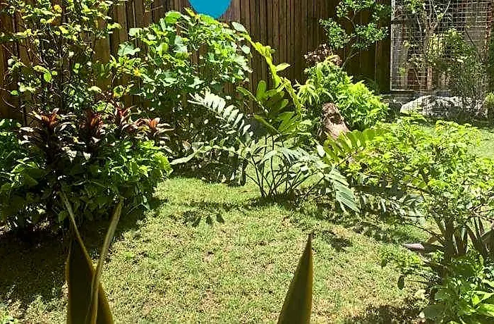 The Hub District Garden 3*