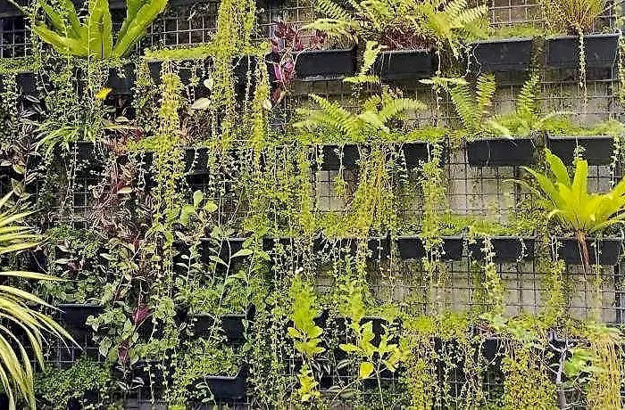 The Hub District Garden 호텔
